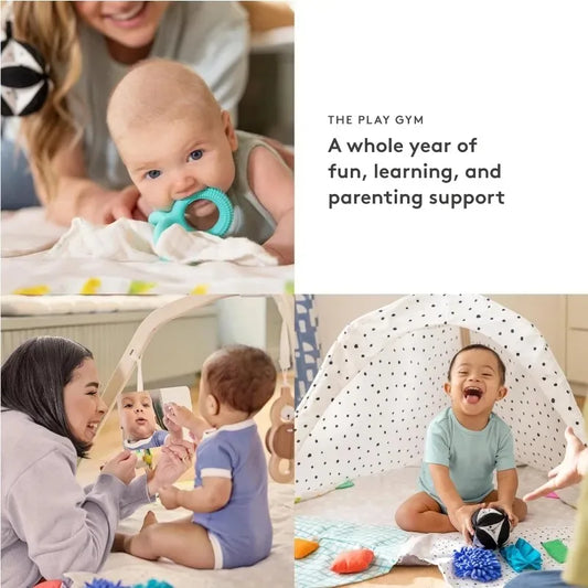 Award Winning Baby Stage Based Developmental Activity Gym